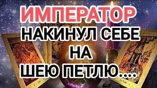 ВОТ ЭТО ДА‼️ИМПЕРАТОР НАКИНУЛ СЕБЕ НА ШЕЮ ПЕТЛЮ.... #таро #tarot #крестовыйкороль #бывшиймуж