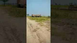Unseen Beautiful Village life in Punjab️/#villagelife #cultureofpunjab #lehndapunjab #ytshorts