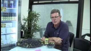 Superberries: Founder Kenny Sailors discusses our Concentrate