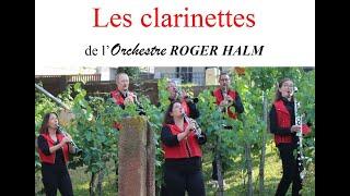 BÖHMISCHER HOLZTRAUM (Böhmischer-Traum N. Gälle) Ensemble de clarinettes de l'Orchestre ROGER HALM