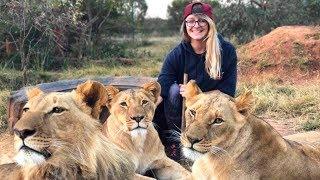 A Day in the Life: Living With Big Cats