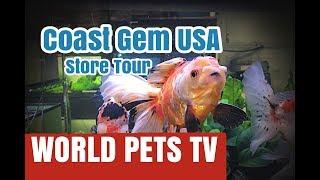 Coast Gem USA Goldfish Store Tour