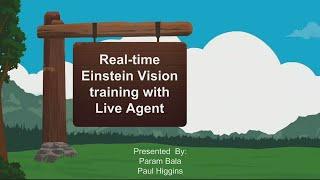 Real-time Einstein Vision Training with Live Agent