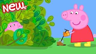 Peppa Pig Tales  The Garden Den!  Peppa Pig Episodes