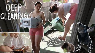 deep cleaning the kitchen, ant infestation!! (vlog)