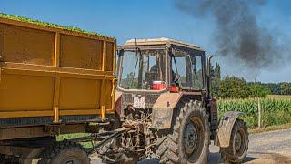 [2023] Belarus Mtz 82.1,820.2, 892.2, Rába-Steiger, Zetor Crystal,Ifa (Motor Sound) part-1