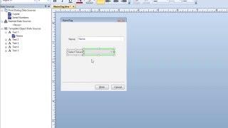 Data Entry Forms in BarTender Software: Designing a Data Entry Form (Tutorial)