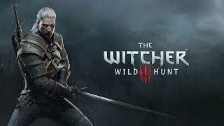 The Witcher 3