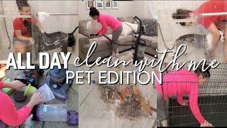 ALL DAY SATISFYING CLEAN WITH ME | How to keep a clean house with pets!