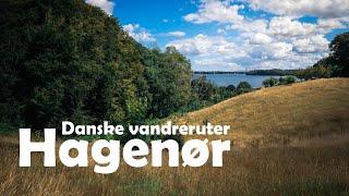 En vandretur langs det EVENTYRLIGE Lillebælt // Vandring ved Hagenør