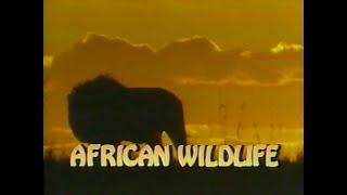 National Geographic: African Wildlife (1980)