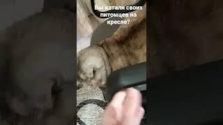 Карусель