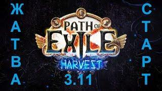 Path of Exile 3.11: Жатва фарм карт.