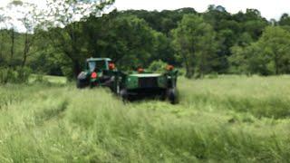 What’s up on the farm...