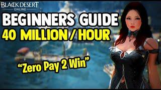 Black Desert Online [BDO] - Make 40 Million Silver Per Hour - Beginners Guide [Zero Pay To Win]