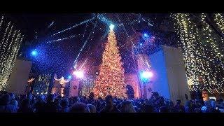 2017 Paramount Studios Christmas Tree Lighting