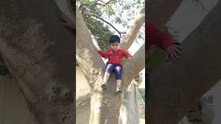 I can not sit on a tree!!!