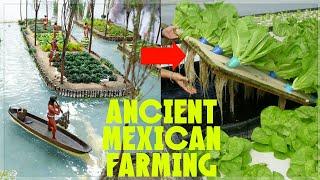 THIS ANCIENT MEXICAN FARMING METHOD IS REVOLUTIONARY FARMING