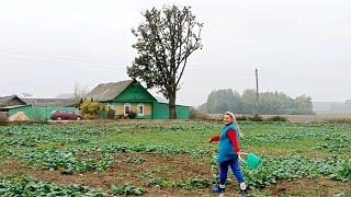 НАША ЖИЗНЬ на КРАЮ БЕЛОРУССКОЙ ДЕРЕВНИ. Вернулись домой.