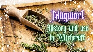 Mugwort in Witchcraft - Psychic Growth, Astral Projection