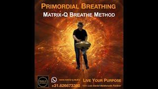 Matrix-Q Studio PRIMORDIAL BREATHING COMMUNITY JOURNAL