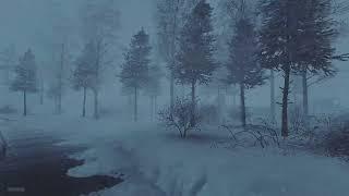 Frosty Blizzard Sounds for Sleeping┇Loud Winter & Freezing Breeze Sounds┇Howling Wind & Blowing Snow