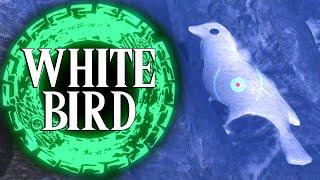 The White Bird's Guidance - Tears of the Kingdom