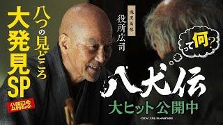 映画『八犬伝』特番【八つの見どころ大発見SP】10月25日(金)劇場公開