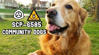 SCP-6585 Community Dogs: Anomalous emotional support dog in times of crisis!