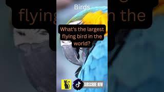 Amazing Animal Facts Unveiled Mammal Bird Reptile Fish Amphibian Discover unknow | Like & Subscribe