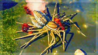 I EVOLVED FIRE ANTS To Battle Six-Spotted Fishing Spiders in Empires Of The Undergrowth