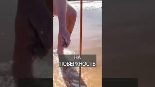 Австралийцы выманивают ЧЕРВЕЙ из песка