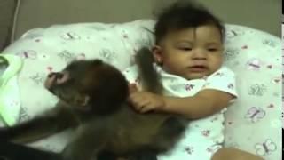 Смешные Обезьянки и Дети! Funny Monkeys and Children!