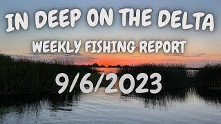 The In Deep On The Delta Report for 10/7/2023.