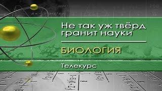 Биология для чайников. Лекция 1. Как представить себе биологию?