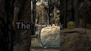 Clementine Remembers The Salt Lick (The Walking Dead)