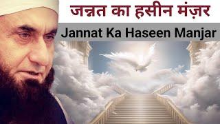 जन्नत का हसीन मंज़र || Jannat Ka Haseen Manjar || Moulana Tariq Jameel Bayan