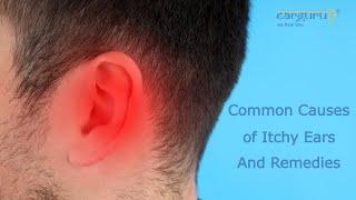 Common Causes and Remedies for Itchy Ears