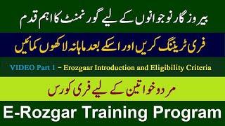 What is Punjab Erozgaar Training Program and What is Eligibility Criteria of Erozgaar Program Part 1