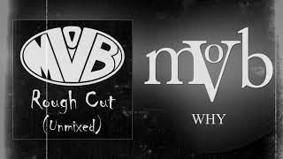 V-MOB - Why