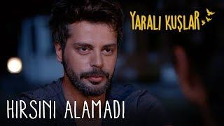 Hırsını Alamadı  | Yaralı Kuşlar 80. Bölüm (English and Spanish)