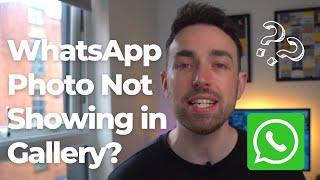 How to Fix WhatsApp Photos Not Showing in Gallery