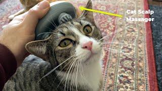 Electric Cat Scalp Massager Tested  Gadgetify