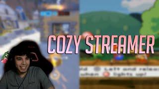 stimp's COZY highlights! | Overwatch & Paper Mario