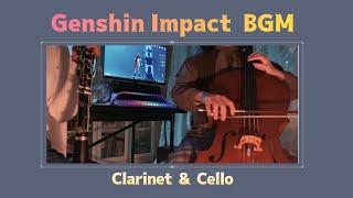 Genshin Impact(원신)OST | Dragonspine calm BGM | by clarinet, cello