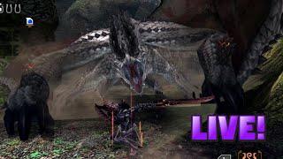 MH4U: Chill Gaming + Public Multiplayer