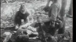 Battle of Long Tan ABC TV - 17 Aug 2006 - Vietnam War