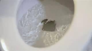 Common Plumbing Problems | Tips from Plumbing Experts in DC, MD, VA & PA | Len the Plumber