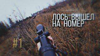 Загонная охота на лося #1. Лось вышел на номер