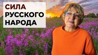 Сила русского народа в Иван-Чае | Повышает или понижает давление Иван-чай?